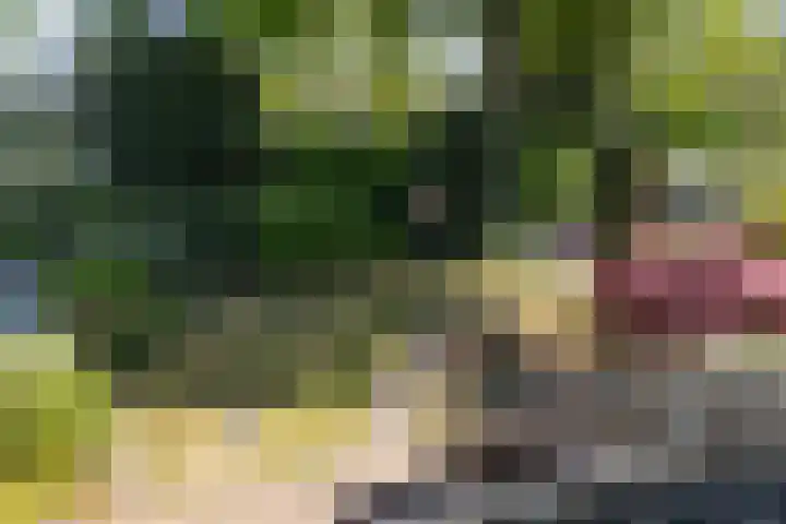 Planetenlaan 39 Maartensdijk thumbnail 36
