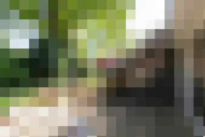 Planetenlaan 39 Maartensdijk thumbnail 37