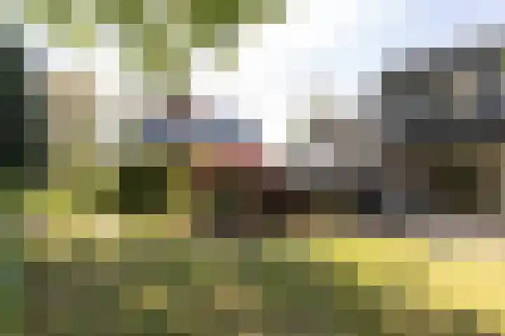 Planetenlaan 39 Maartensdijk thumbnail 38