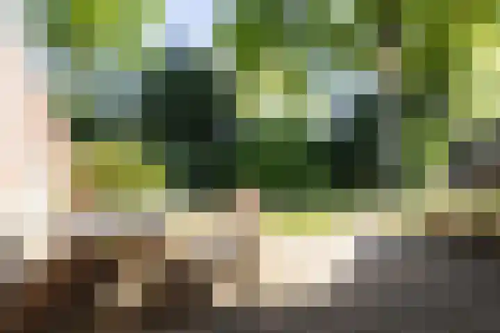 Planetenlaan 39 Maartensdijk thumbnail 4