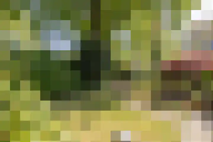 Planetenlaan 39 Maartensdijk thumbnail 39