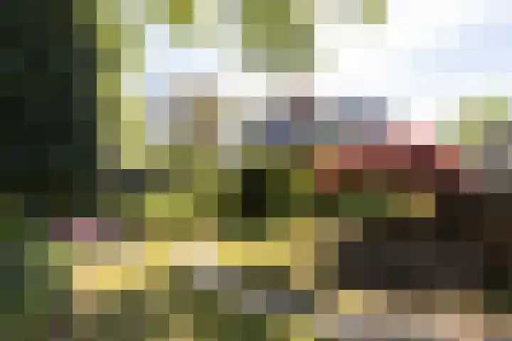 Planetenlaan 39 Maartensdijk thumbnail 40