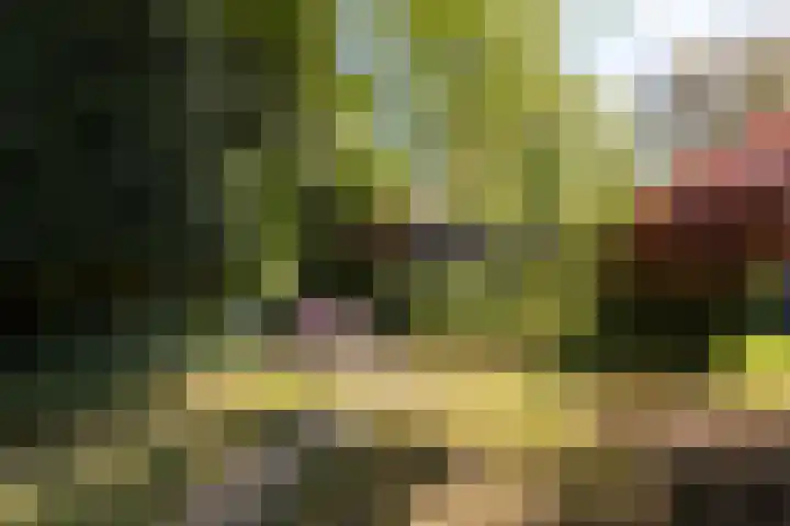 Planetenlaan 39 Maartensdijk thumbnail 41