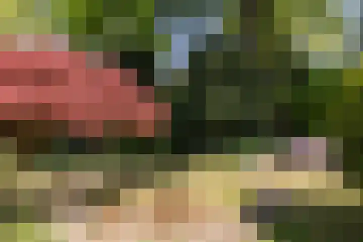Planetenlaan 39 Maartensdijk thumbnail 42