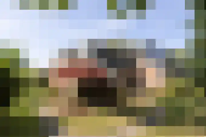 Planetenlaan 39 Maartensdijk thumbnail 43