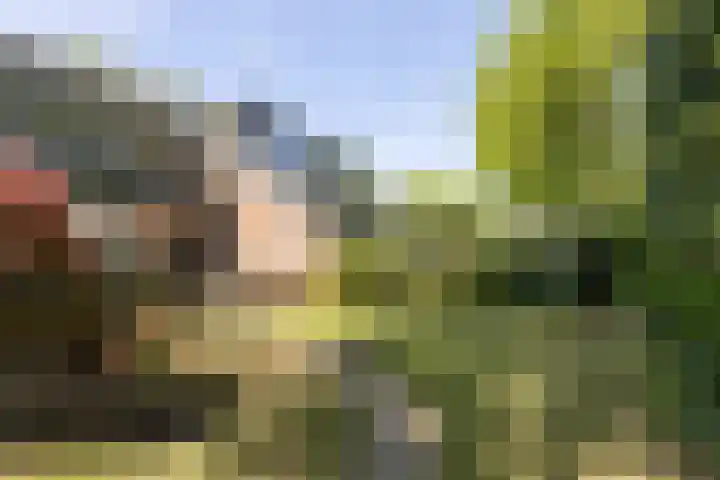 Planetenlaan 39 Maartensdijk thumbnail 44