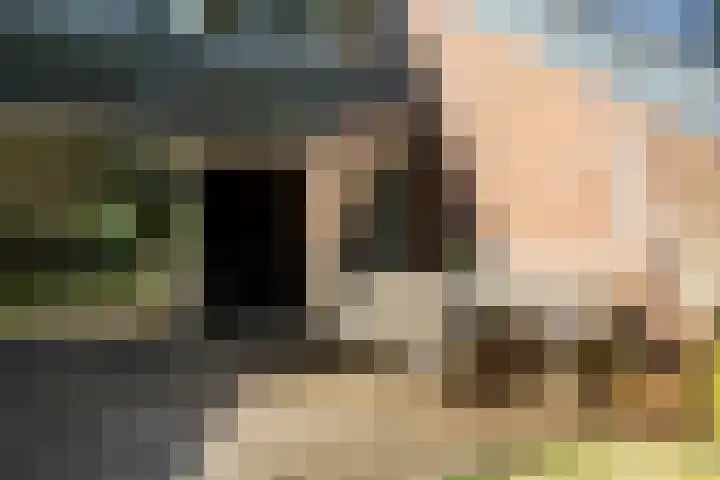 Planetenlaan 39 Maartensdijk thumbnail 45
