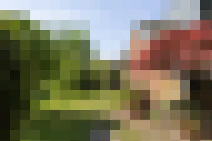 Planetenlaan 39 Maartensdijk thumbnail 46
