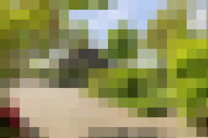 Planetenlaan 39 Maartensdijk thumbnail 47