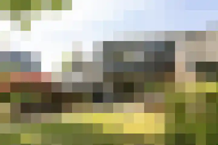 Planetenlaan 39 Maartensdijk thumbnail 5