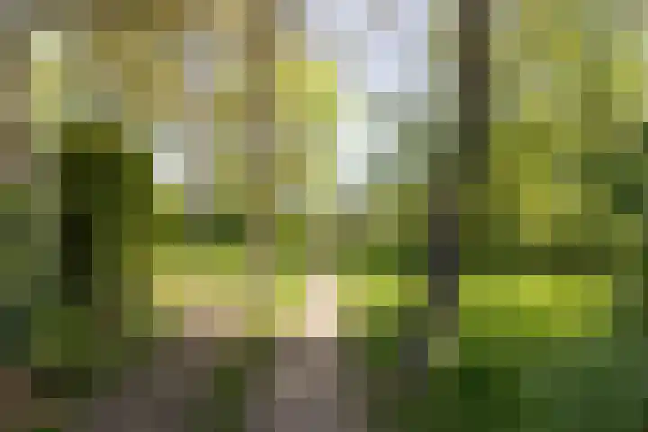 Planetenlaan 39 Maartensdijk thumbnail 49