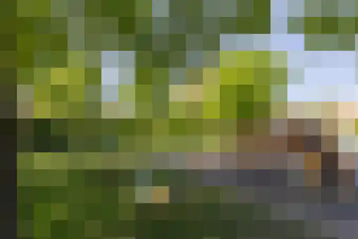 Planetenlaan 39 Maartensdijk thumbnail 51