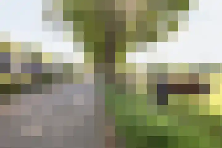 Planetenlaan 39 Maartensdijk thumbnail 52