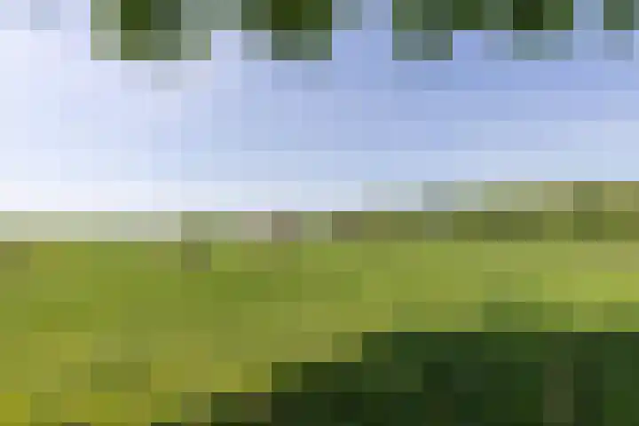 Planetenlaan 39 Maartensdijk thumbnail 53