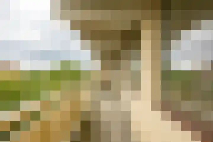 Planetenlaan 43 Groningen thumbnail 12