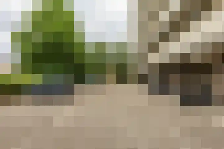 Planetenlaan 43 Groningen thumbnail 23