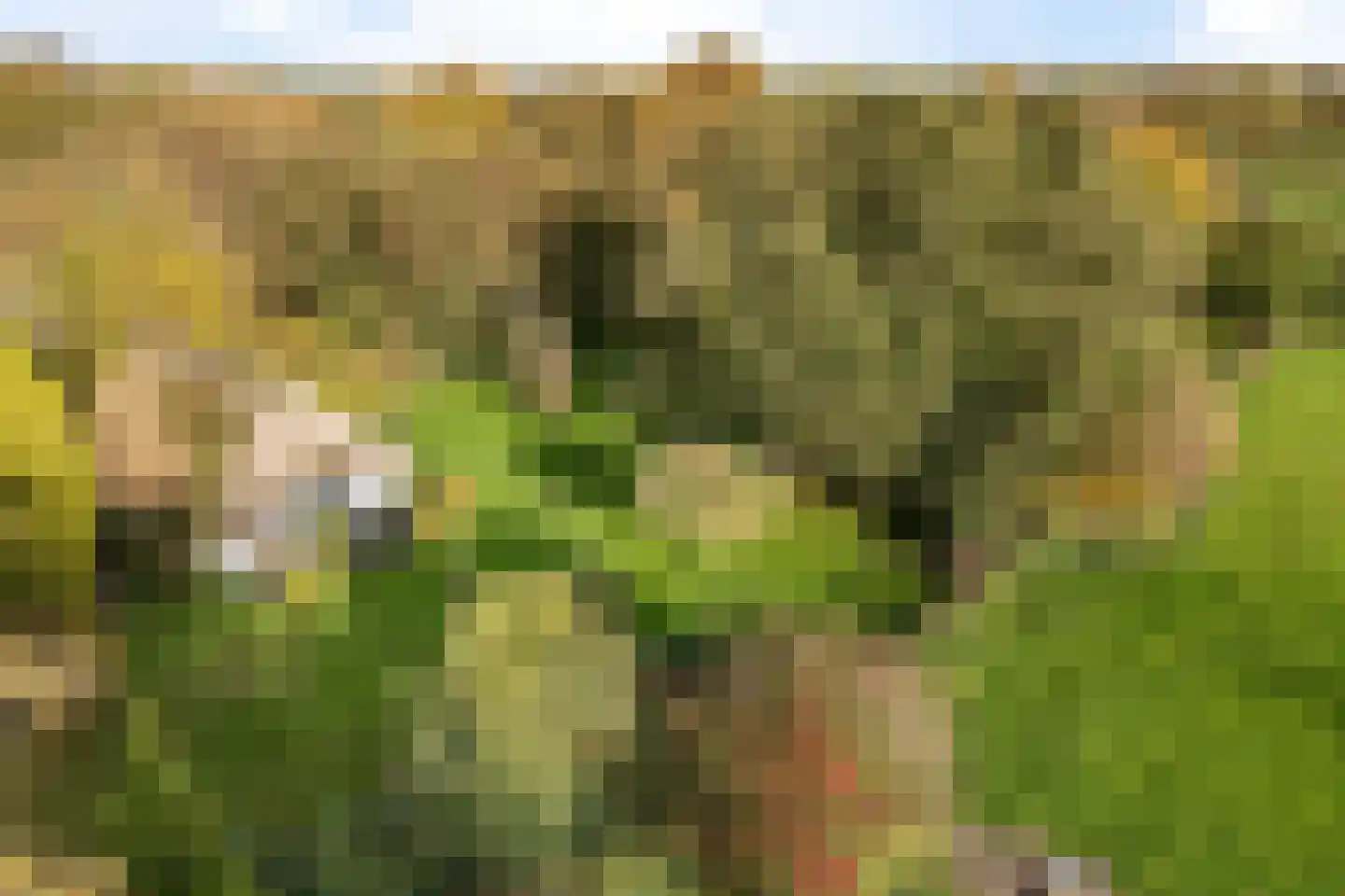 Planetenlaan 47 in Maartensdijk