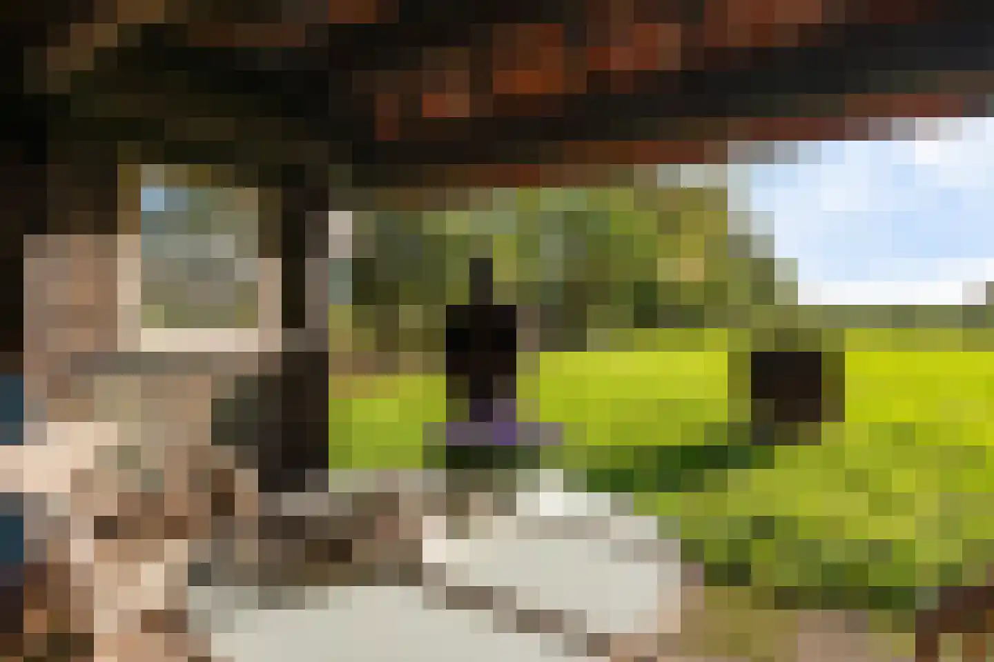Planetenlaan 47 Maartensdijk thumbnail 29