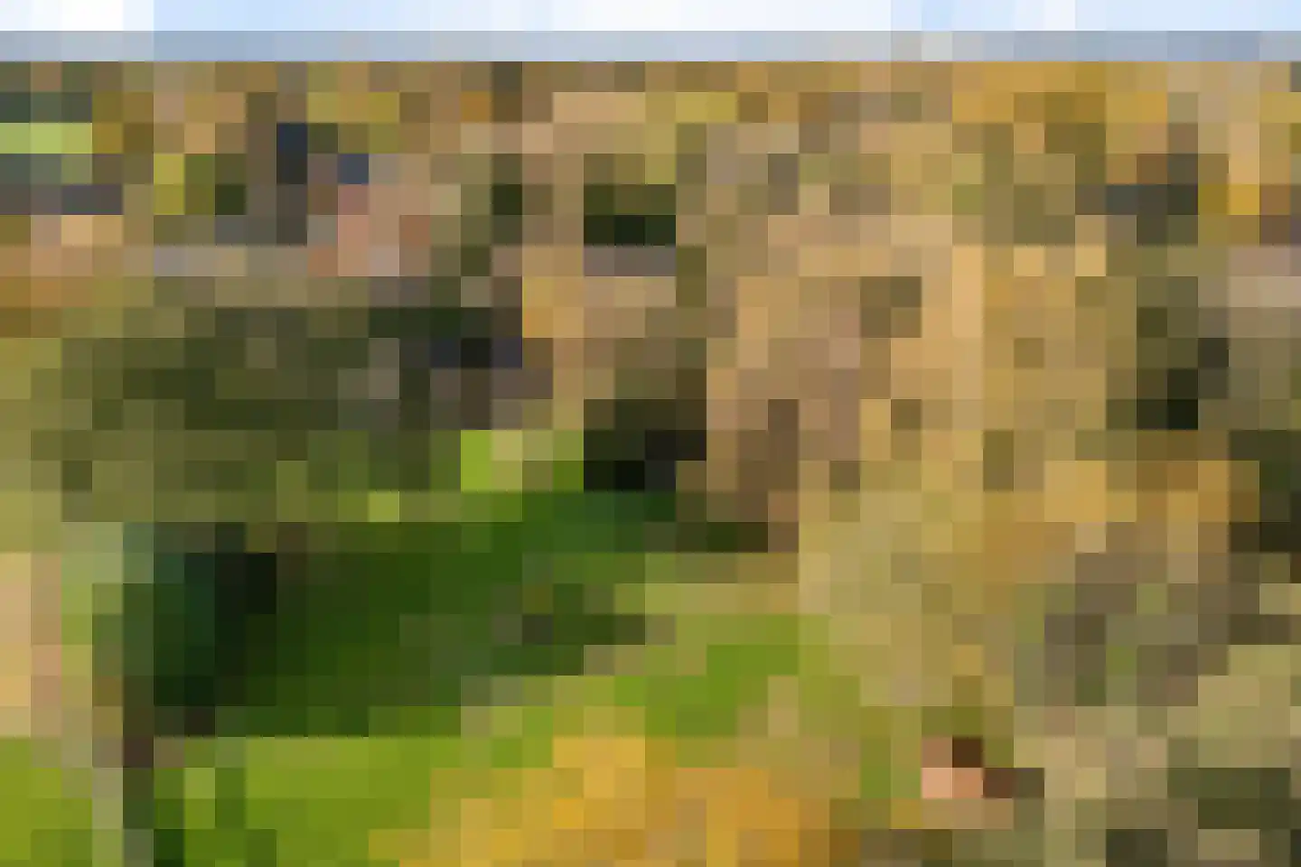 Planetenlaan 47 Maartensdijk thumbnail 32