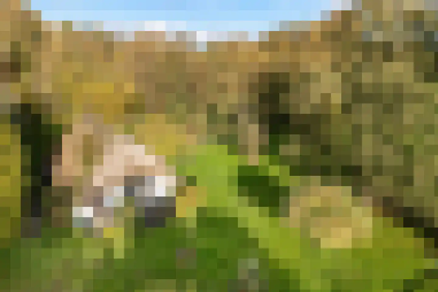 Planetenlaan 47 Maartensdijk thumbnail 33
