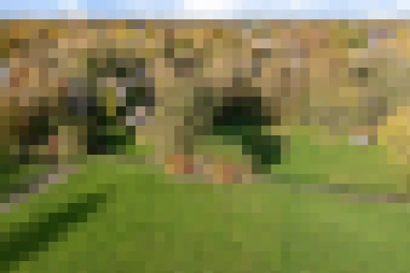 Planetenlaan 47 Maartensdijk thumbnail 34