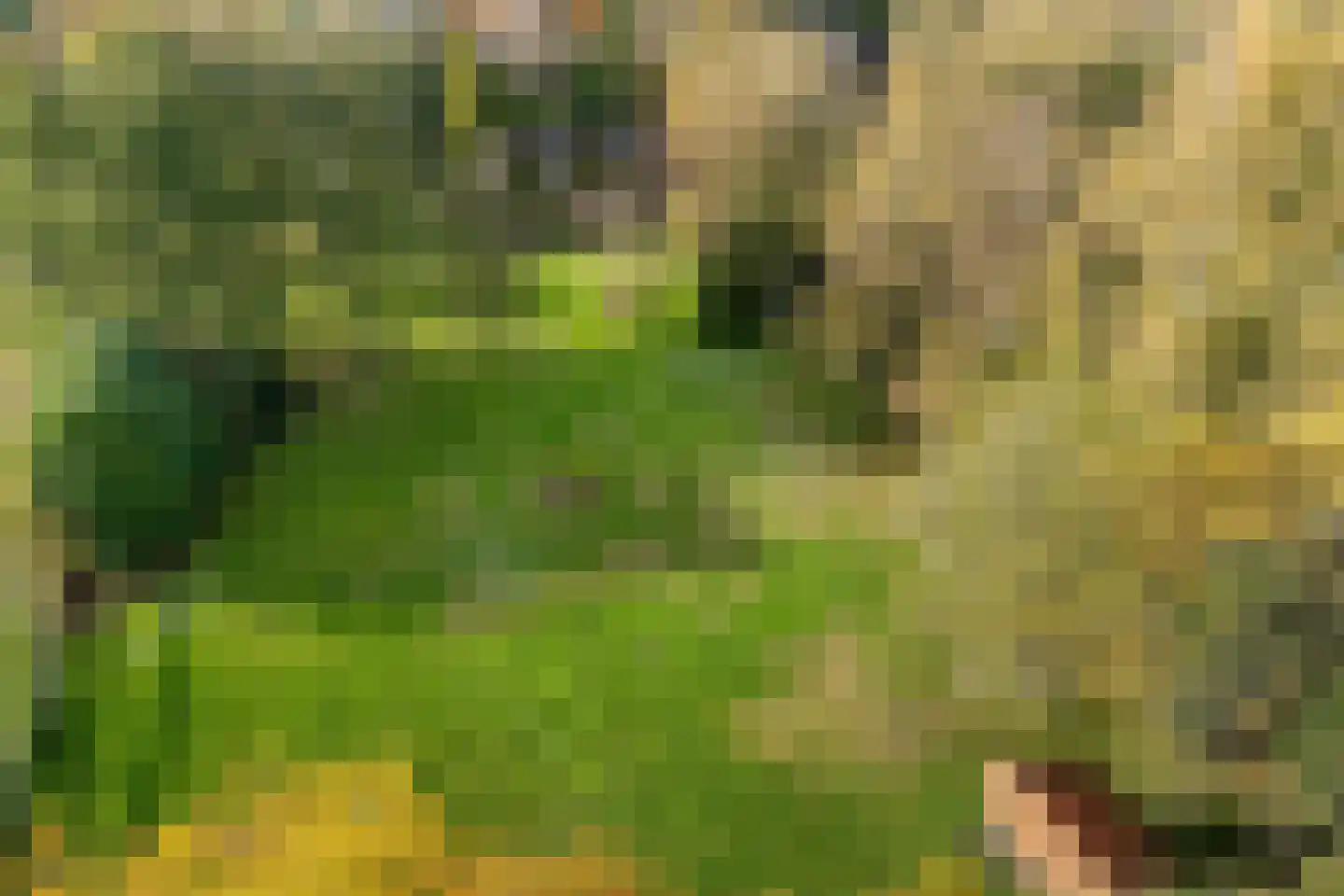 Planetenlaan 47 Maartensdijk thumbnail 35
