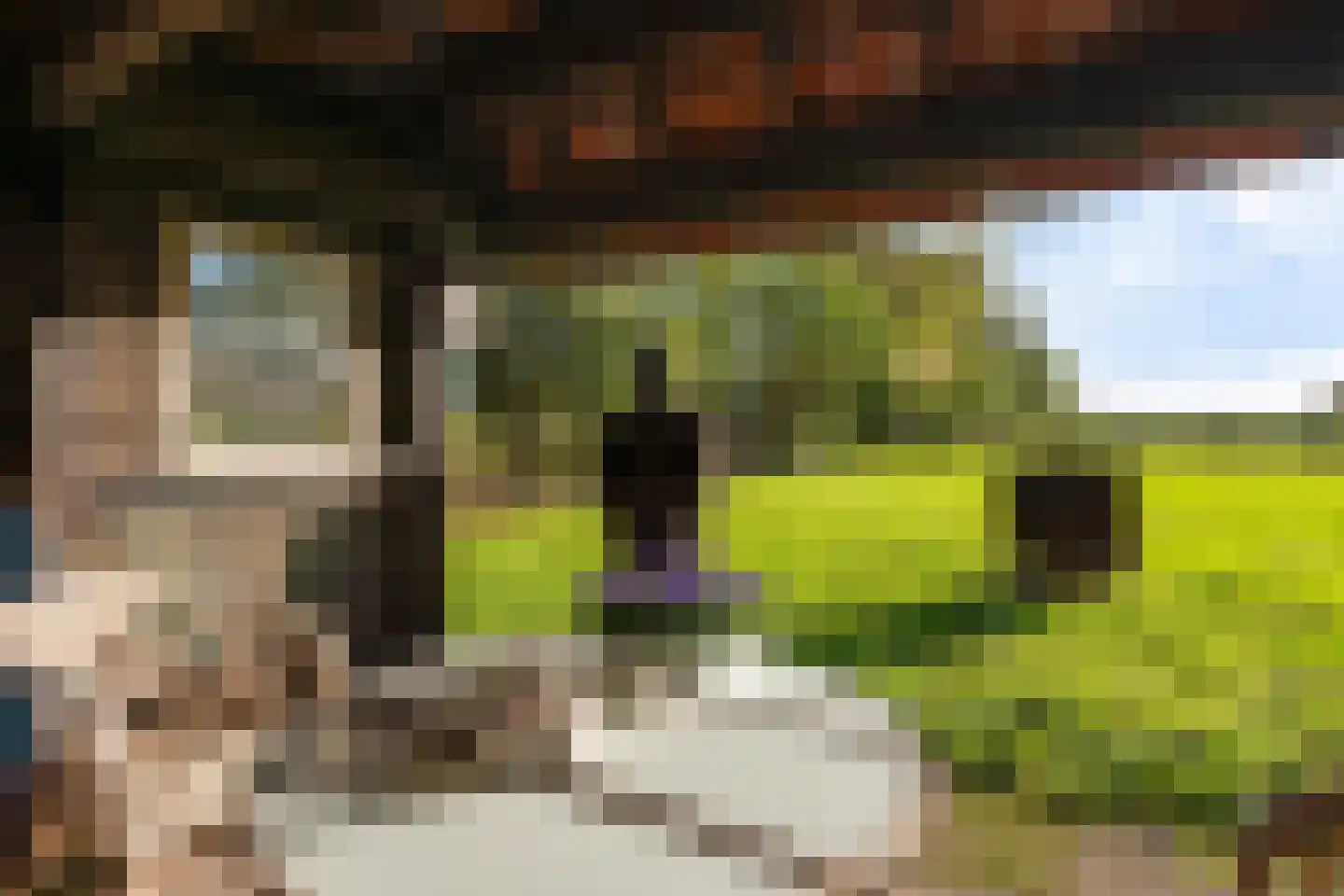 Planetenlaan 47 Maartensdijk thumbnail 35
