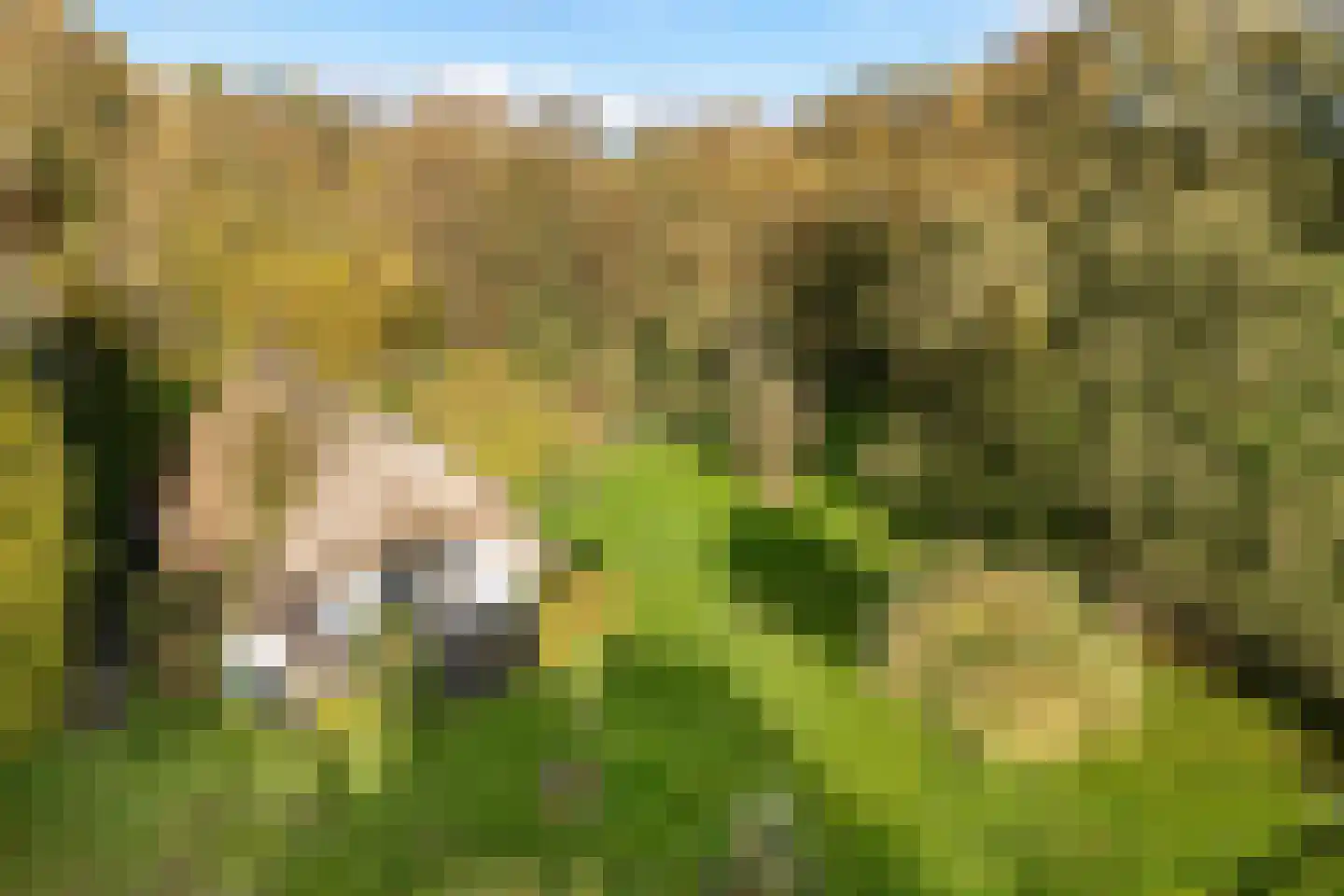 Planetenlaan 47 Maartensdijk thumbnail 39