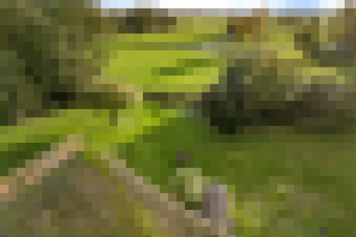 Planetenlaan 47 Maartensdijk thumbnail 40