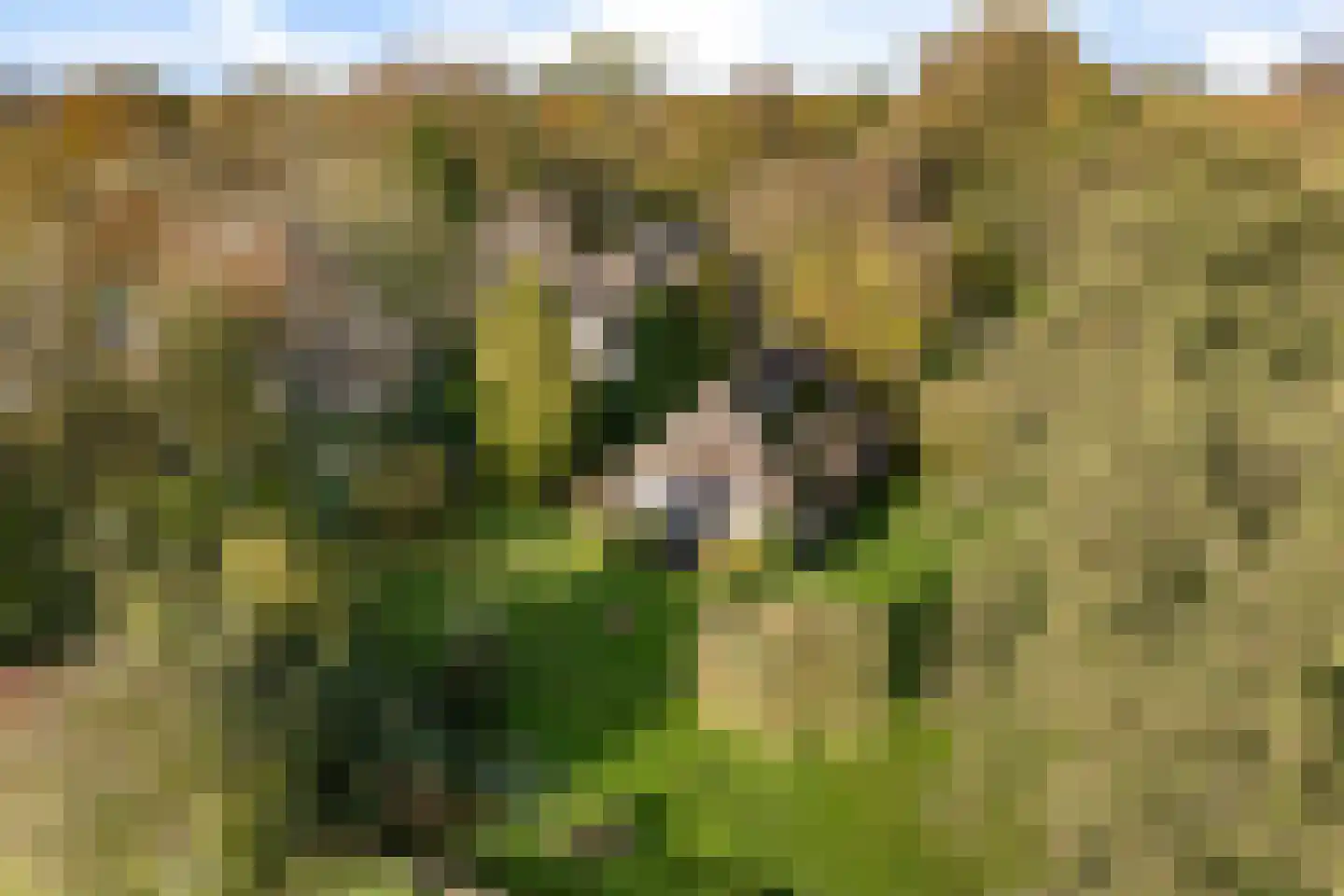 Planetenlaan 47 Maartensdijk thumbnail 42