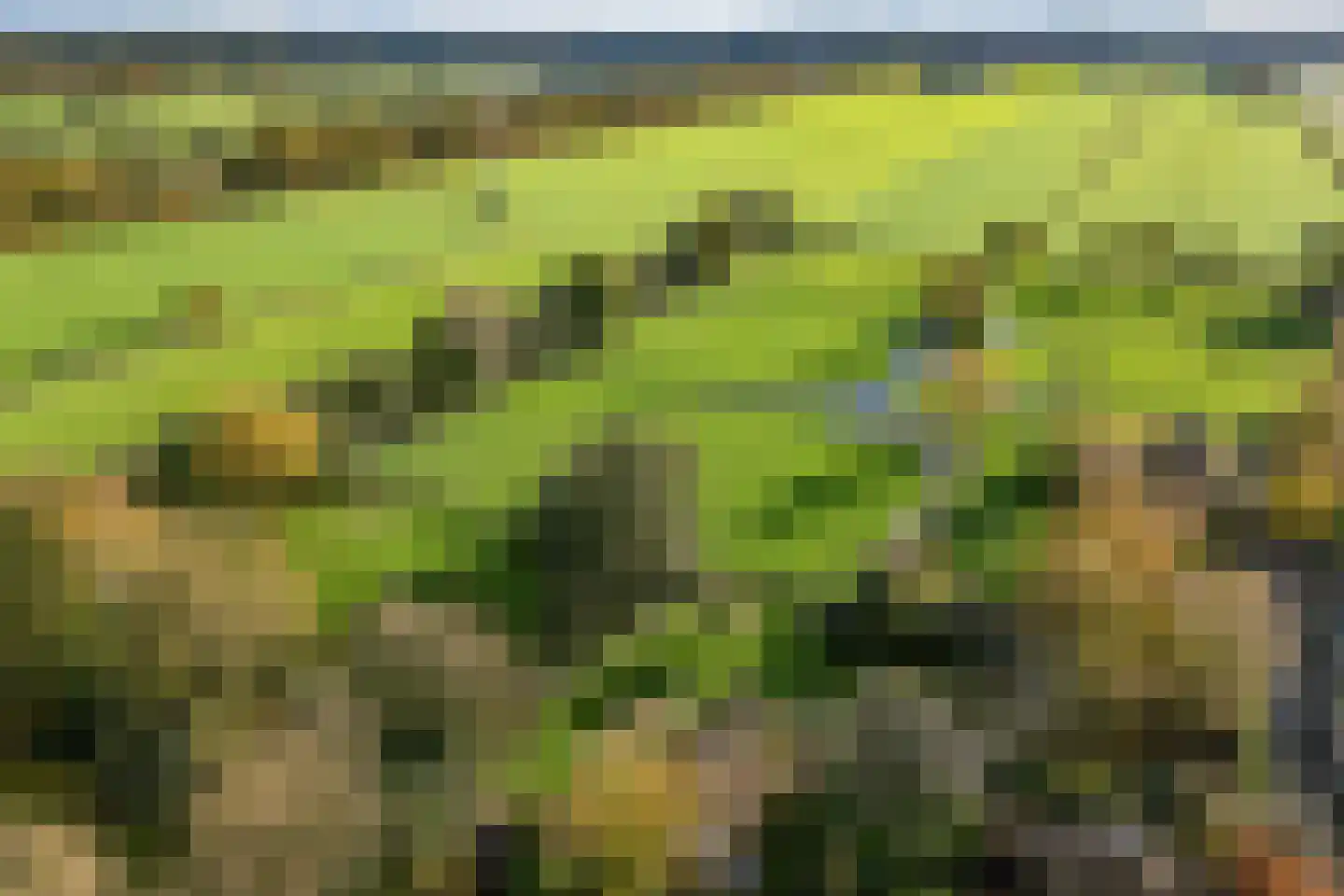 Planetenlaan 47 Maartensdijk thumbnail 5