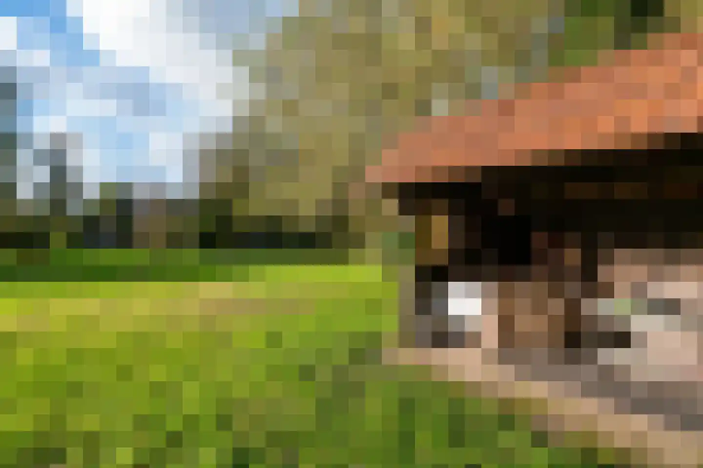 Planetenlaan 47 Maartensdijk thumbnail 6