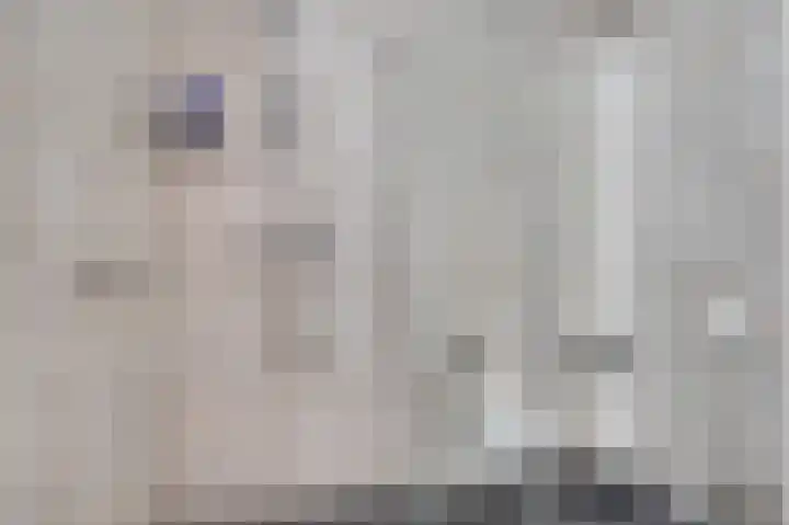 Planetenlaan 48 Son en Breugel thumbnail 33