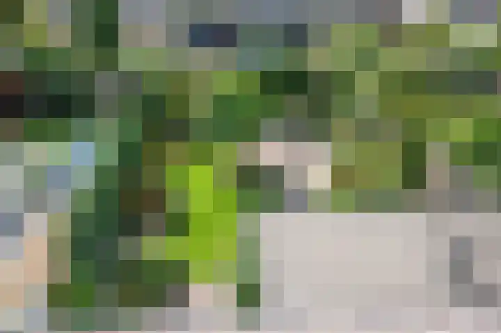 Planetenlaan 48 Son en Breugel thumbnail 39