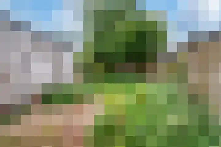 Planetenlaan 49 Apeldoorn thumbnail 15