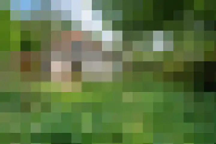 Planetenlaan 49 Apeldoorn thumbnail 18