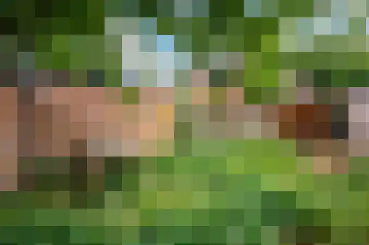 Planetenlaan 49 Apeldoorn thumbnail 19
