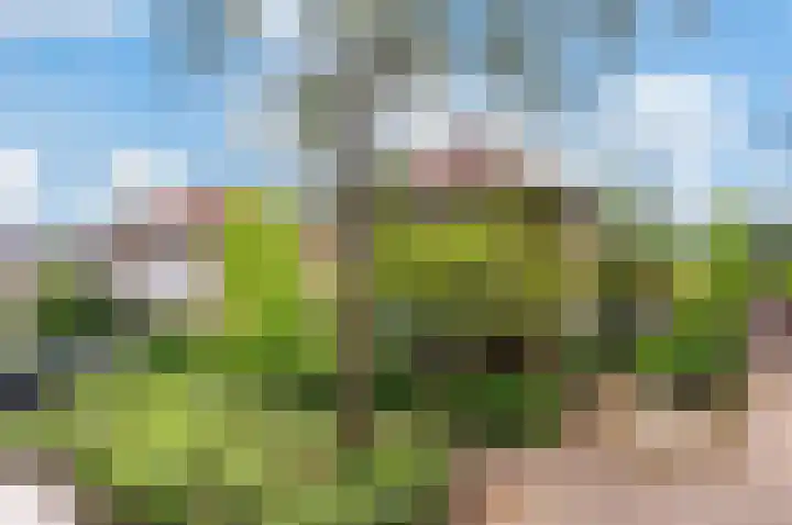 Planetenlaan 49 Apeldoorn thumbnail 29