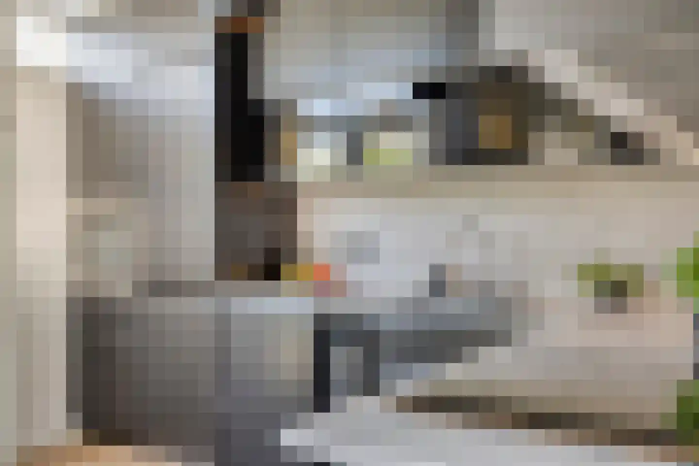 Planetenlaan 5 Veldhoven thumbnail 18