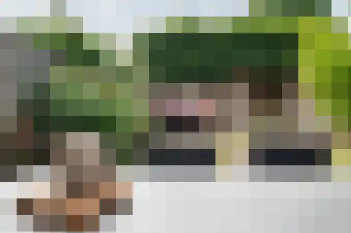 Planetenlaan 55 Schijndel thumbnail 34