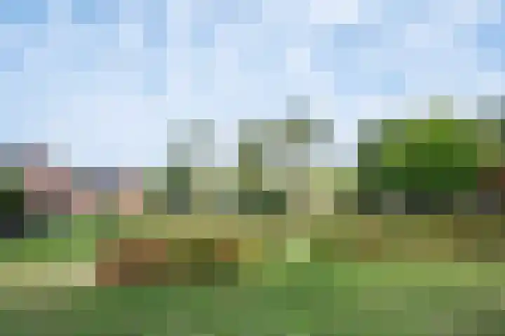 Planetenlaan 55 Schijndel thumbnail 37