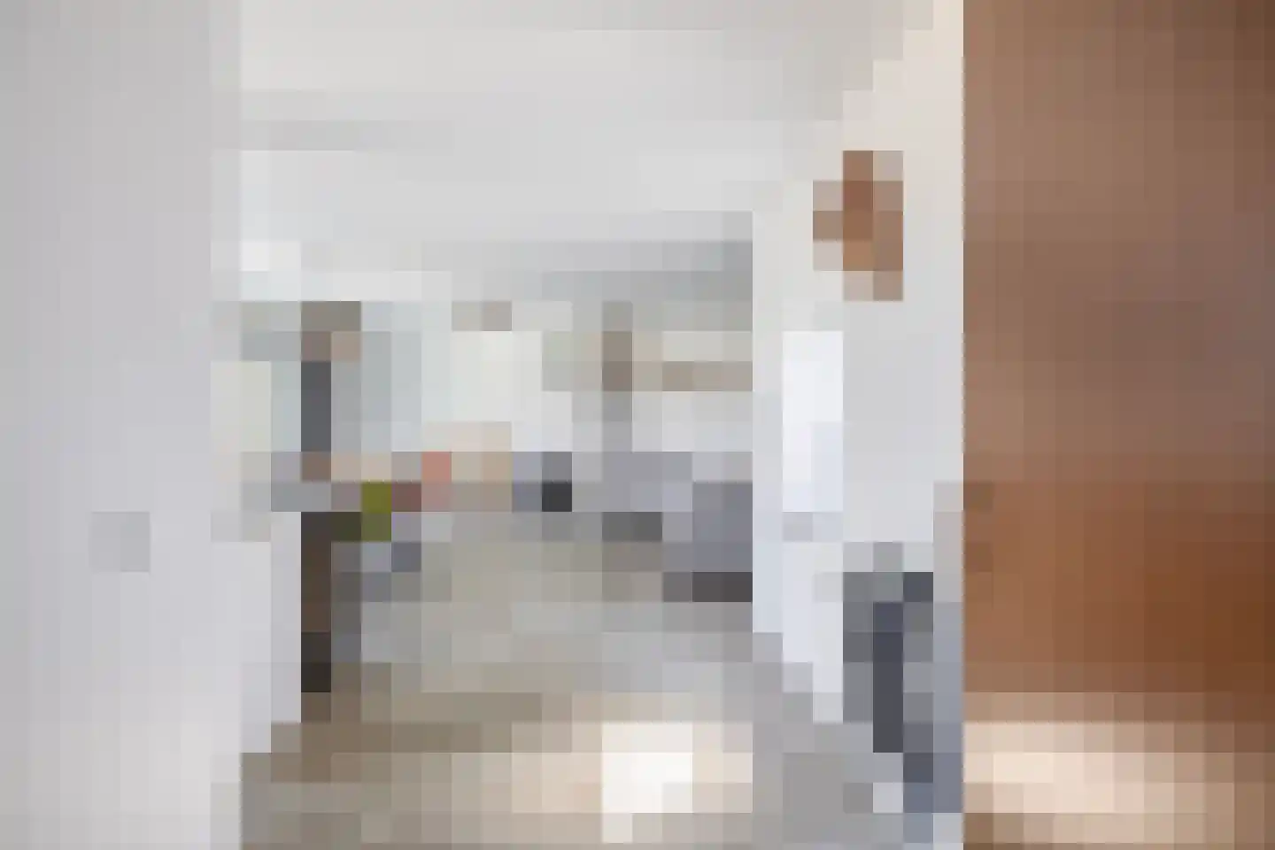 Planetenlaan 55 Spijkenisse thumbnail 12