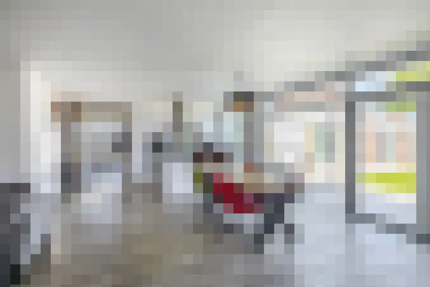 Planetenlaan 55 Spijkenisse thumbnail 20