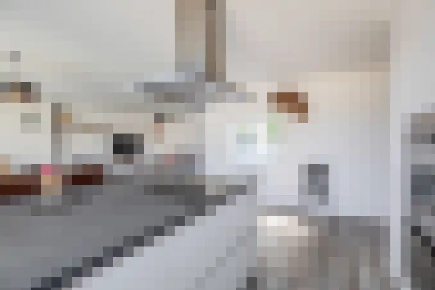 Planetenlaan 55 Spijkenisse thumbnail 24