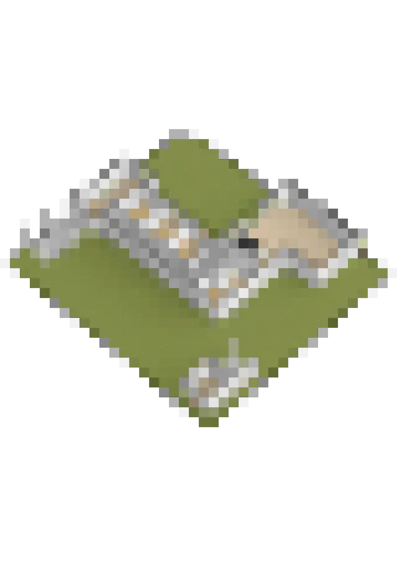Planetenlaan 55 Spijkenisse thumbnail 53