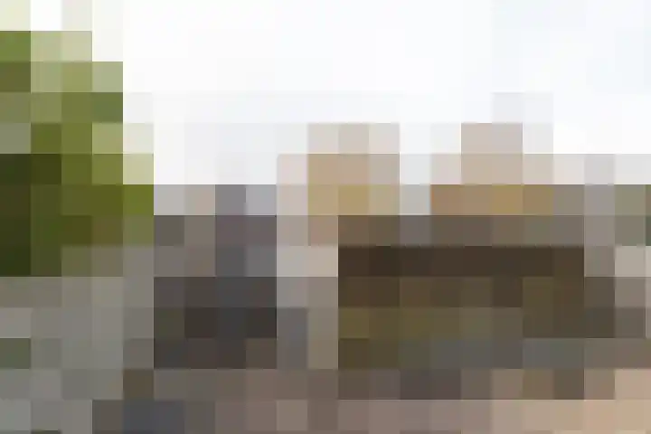 Planetenlaan 57 Assen thumbnail 34