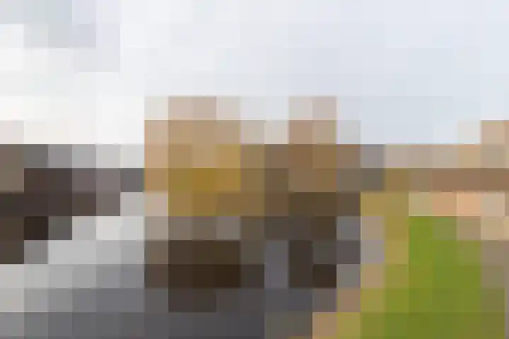 Planetenlaan 57 Assen thumbnail 41