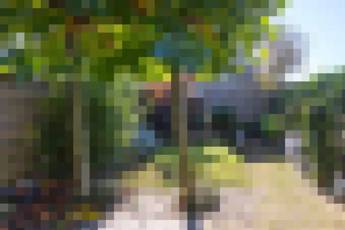Planetenlaan 60 Assen thumbnail 34