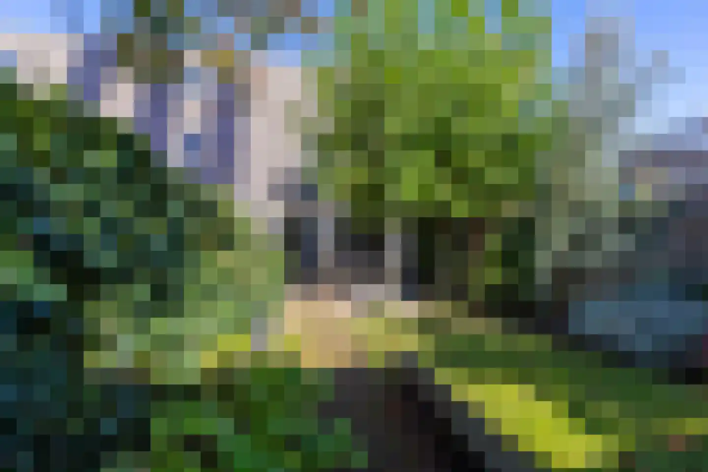 Planetenlaan 60 Assen thumbnail 37