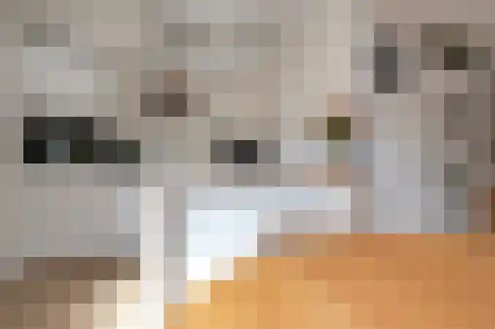 Planetenlaan 62 Assen thumbnail 13